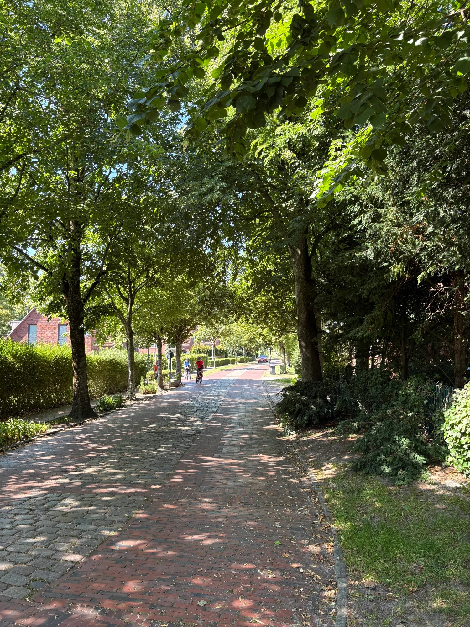 Grimersum und Umgebung – Ostfriesland, Krummhörn